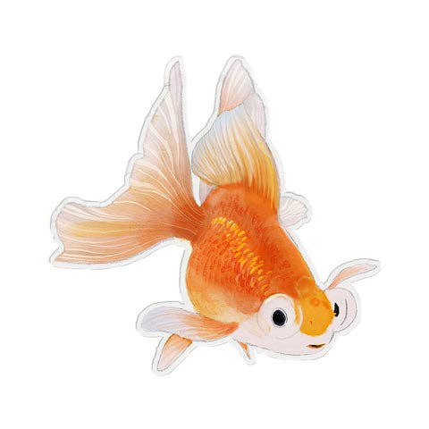 Felix Doolittle - Googly - Vinyl Stickers - Goldfish: Bubbles