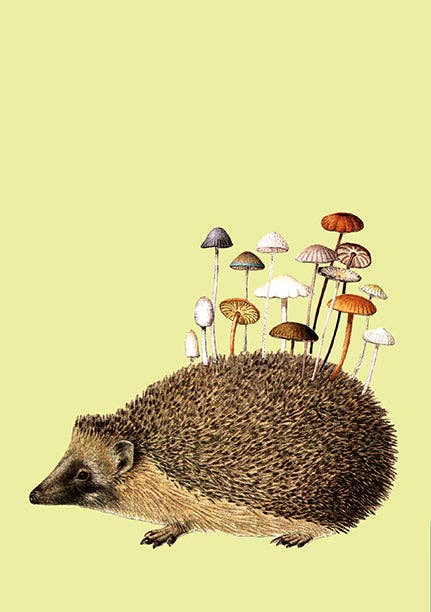 Insight Editions - Art of Nature: Fungi Sewn Notebook Collection (Set of 3)