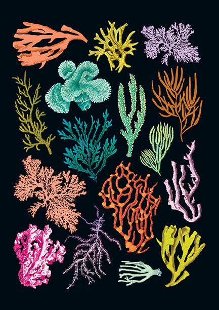 Insight Editions - Art of Nature: Under the Sea Sewn Notebook Collection (Set of 3)