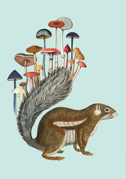 Insight Editions - Art of Nature: Fungi Sewn Notebook Collection (Set of 3)