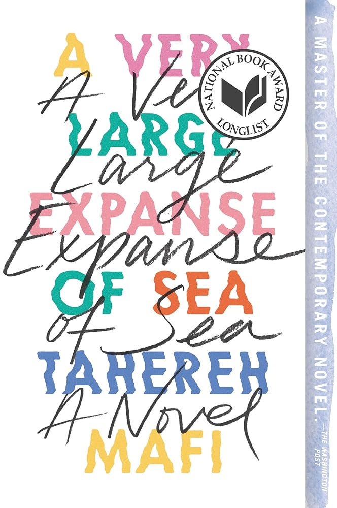 A Very Large Expanse of Sea cover image