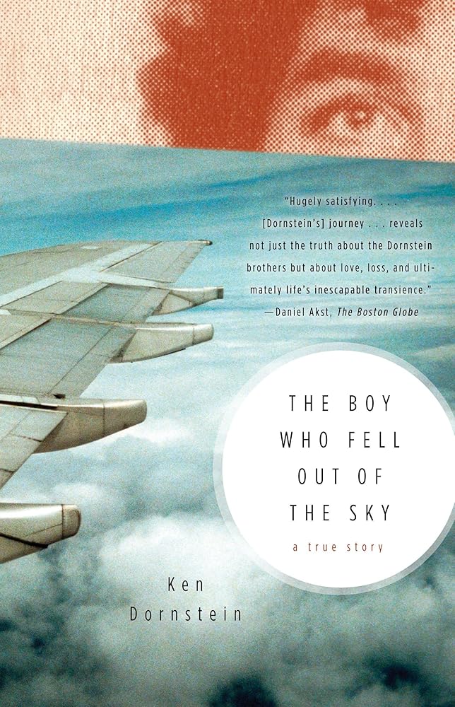 The Boy Who Fell Out of the Sky: A True Story cover image