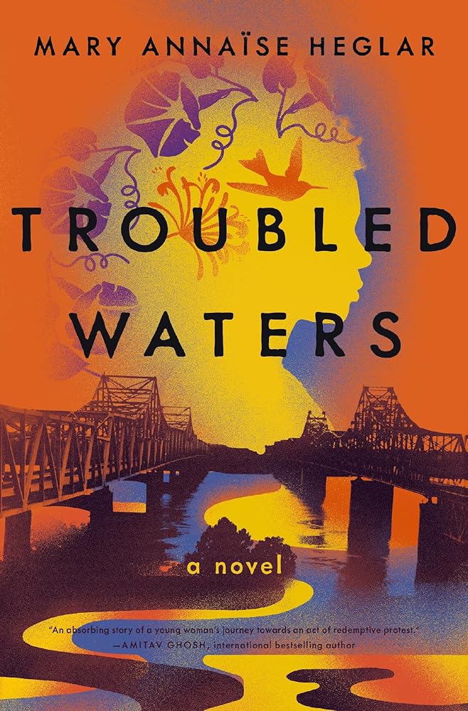Troubled Waters: A Novel cover image