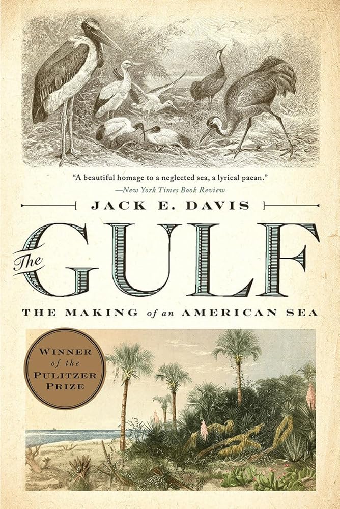 The Gulf: The Making of An American Sea cover image