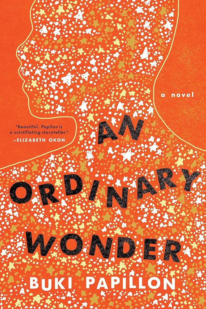 An Ordinary Wonder: A Novel cover image