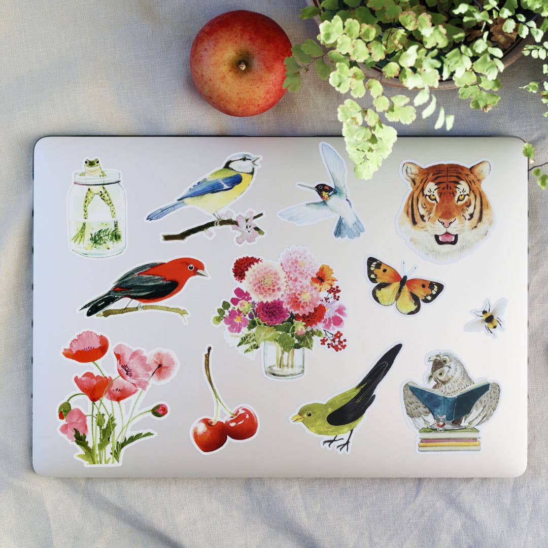 Felix Doolittle - Hoppy - Vinyl Stickers - Frog: Hoppy