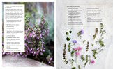 Small Garden Style: A Design Guide for Outdoor Rooms and Containers