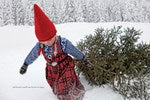 Christmas Wish
