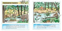 Marshes & Swamps (New & Updated Edition)