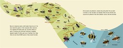 If Bees Disappeared