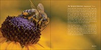 Our Love of Bees