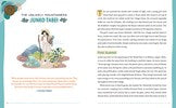 Wild World Handbook: Habitats