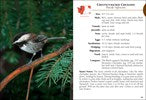 Birds of Washington Field Guide