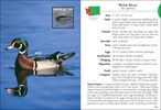 Birds of Washington Field Guide