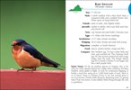 Birds of Virginia Field Guide