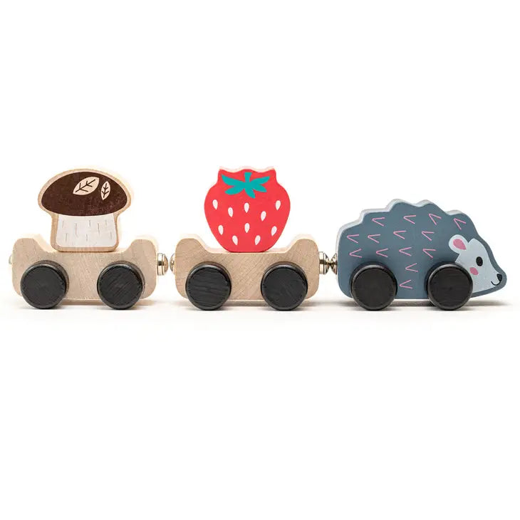 Wooden Toy Clever Hedgehog