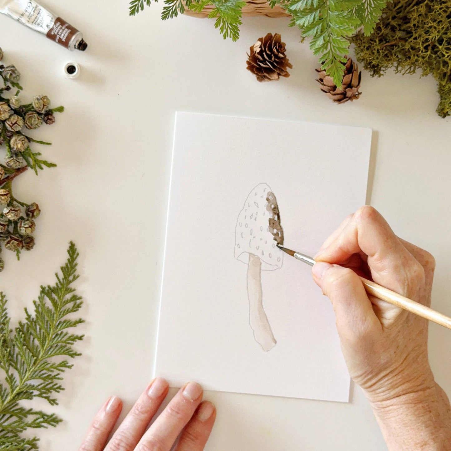 emily lex studio - Mushrooms paintable notecards