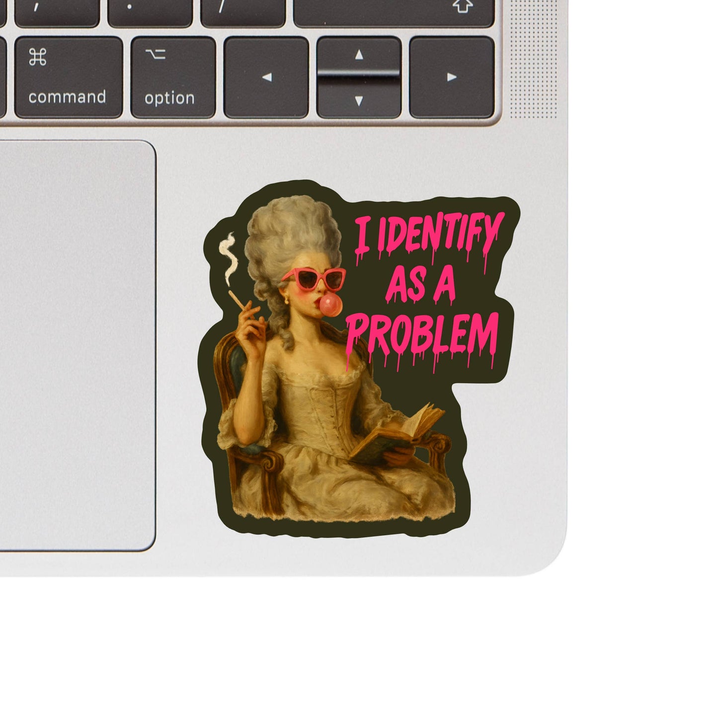 Juju and Moxie - Feminist Rights Funny Humor Book High Quality Vinyl Sticker