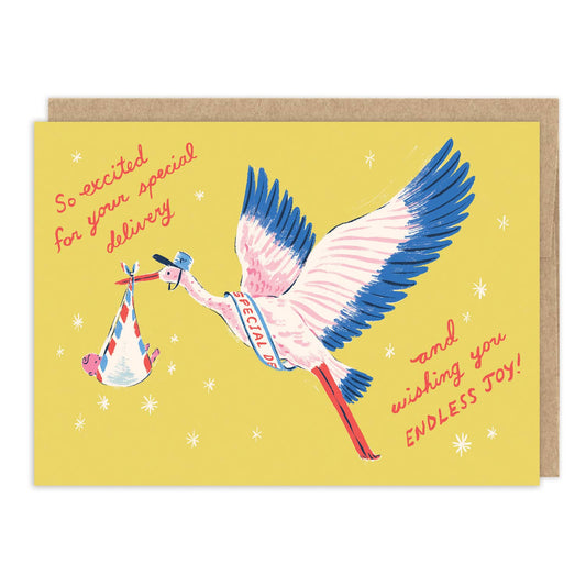 Biely & Shoaf - Stork Special Delivery Baby Shower Card
