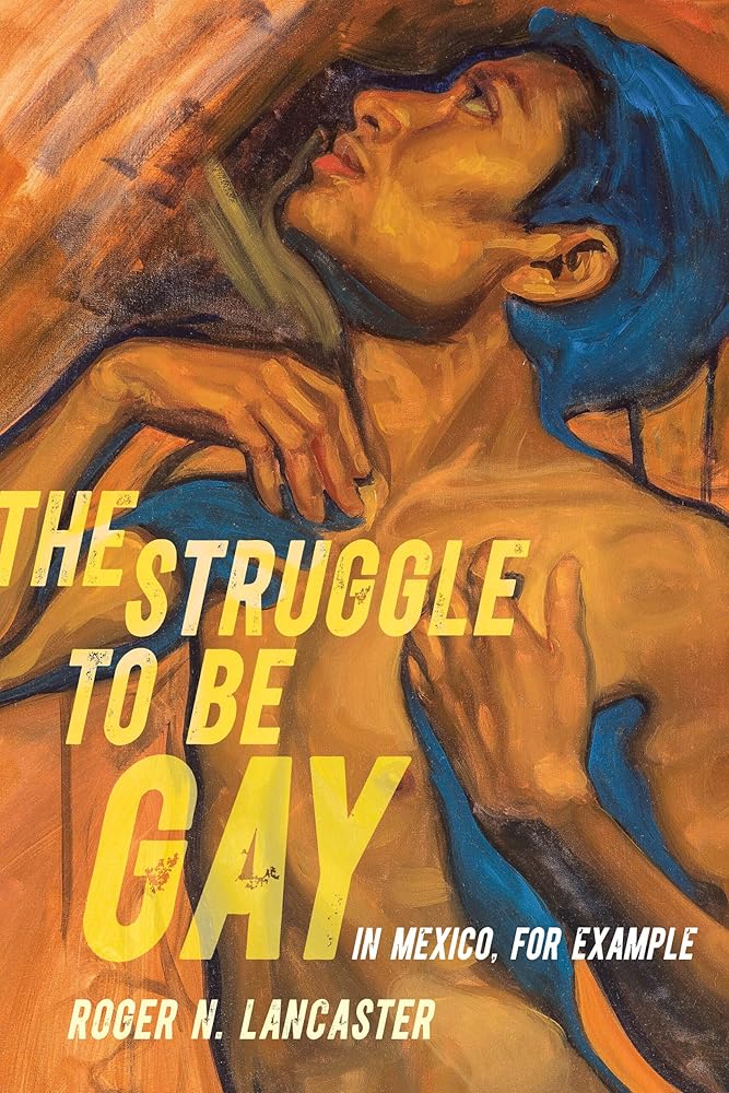 Struggle to Be Gay—in Mexico, for Example cover image