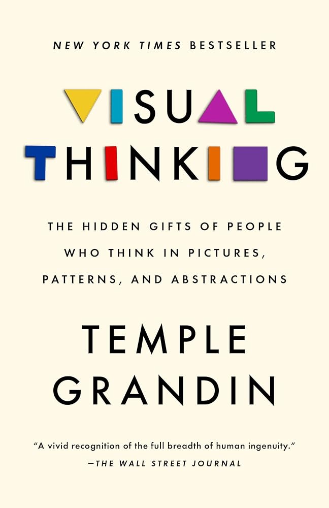 Visual Thinking: The Hidden Gifts of People Who Think in Pictures, Patterns, and Abstractions cover image