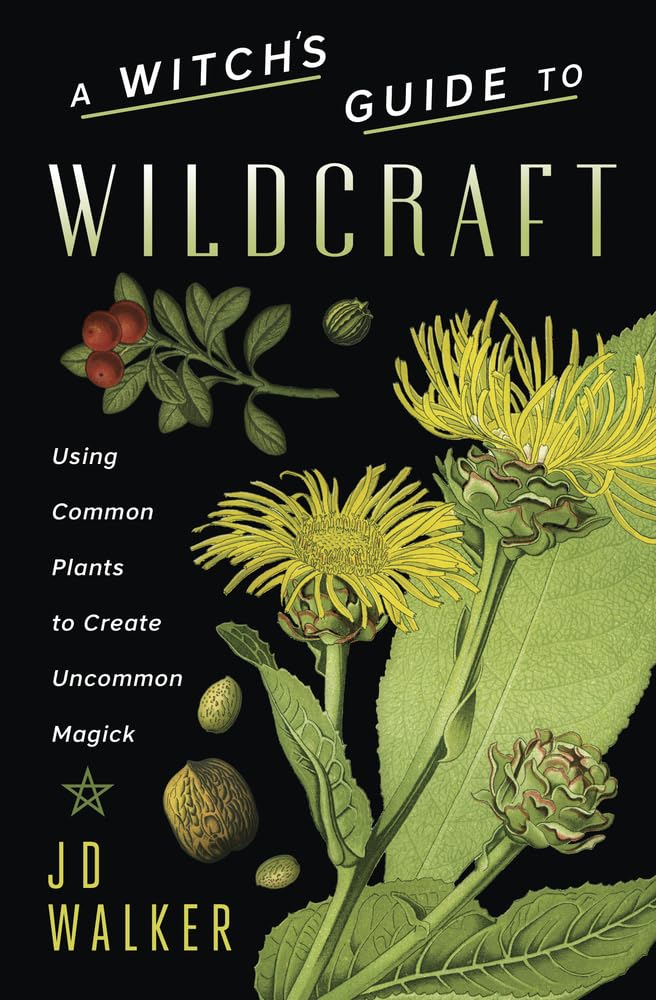 A Witch's Guide to Wildcraft: Using Common Plants to Create Uncommon Magick cover image