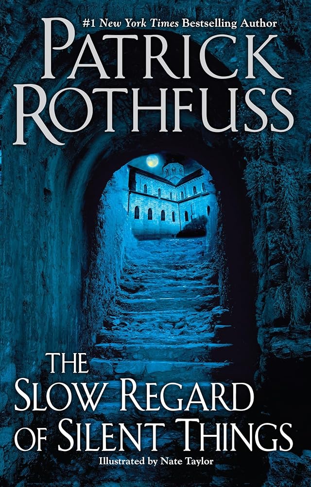 The Slow Regard of Silent Things cover image