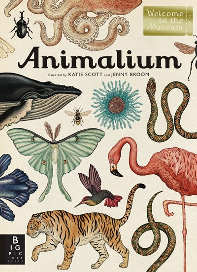 Animalium Welcome to the Museum