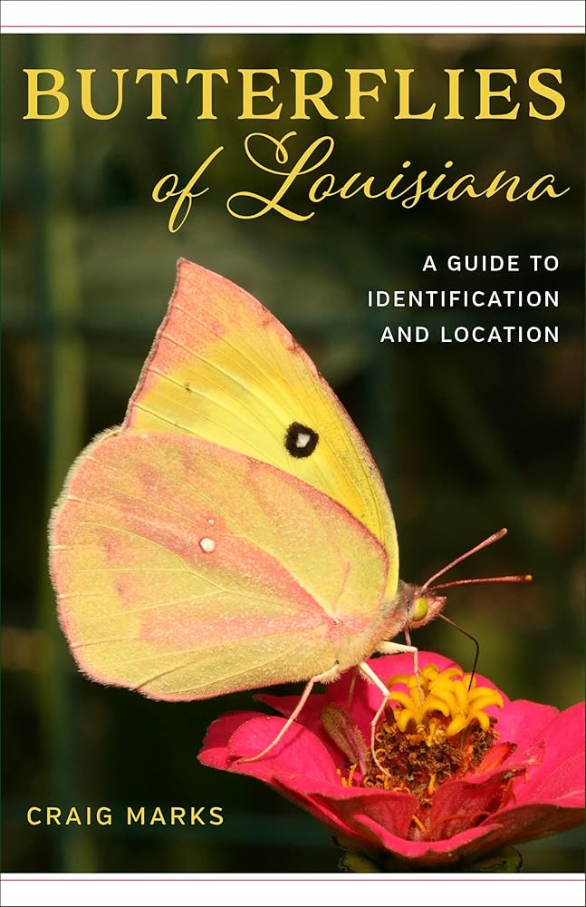 Butterflies of Louisiana: A Guide to Identification and Location cover image