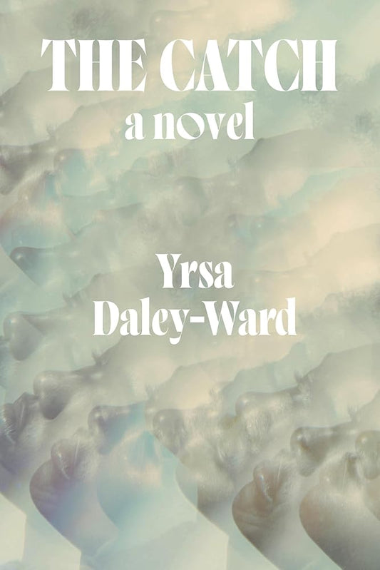 The Catch: A Novel cover image
