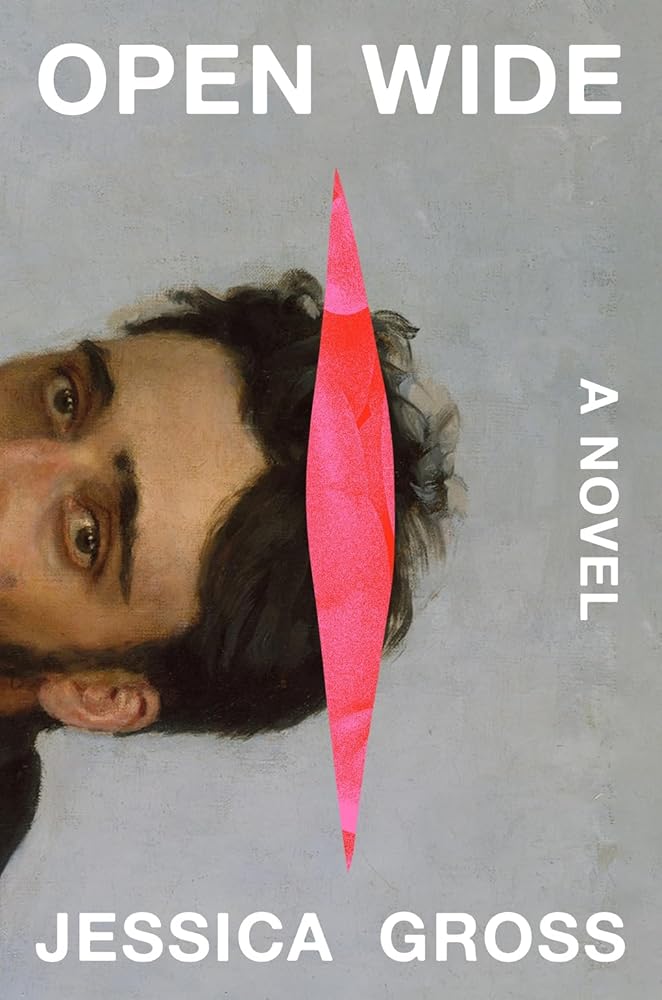 Open Wide: A Novel cover image