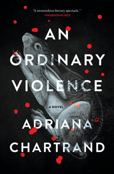 Ordinary Violence