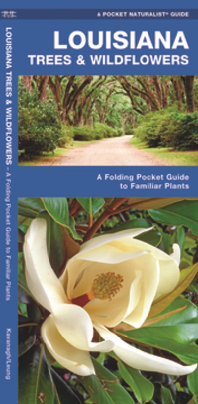 Louisiana Trees & Wildflowers: A Folding Pocket Guide to Familiar Plants