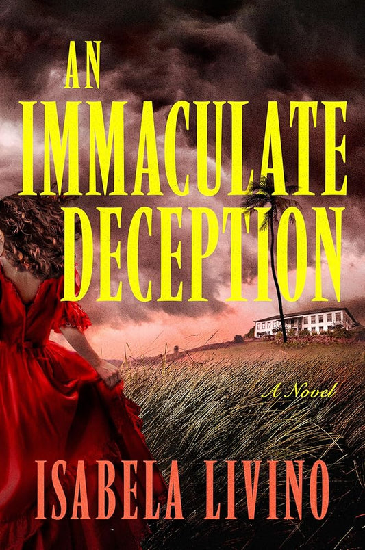 An Immaculate Deception: A Novel cover image