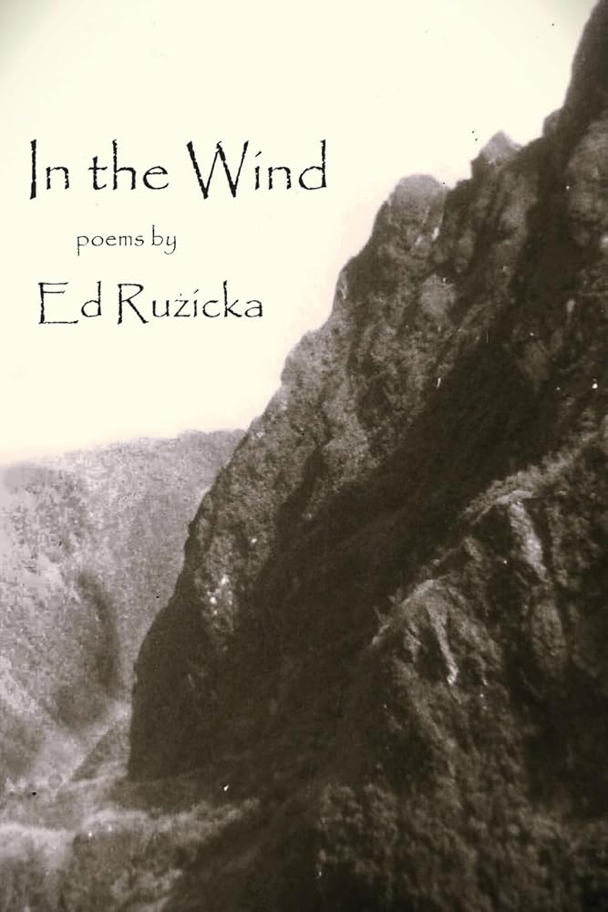 In the Wind cover image
