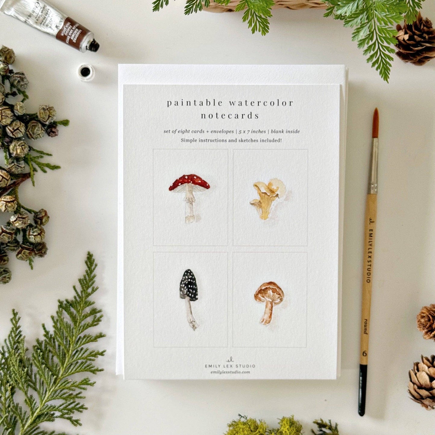 emily lex studio - Mushrooms paintable notecards