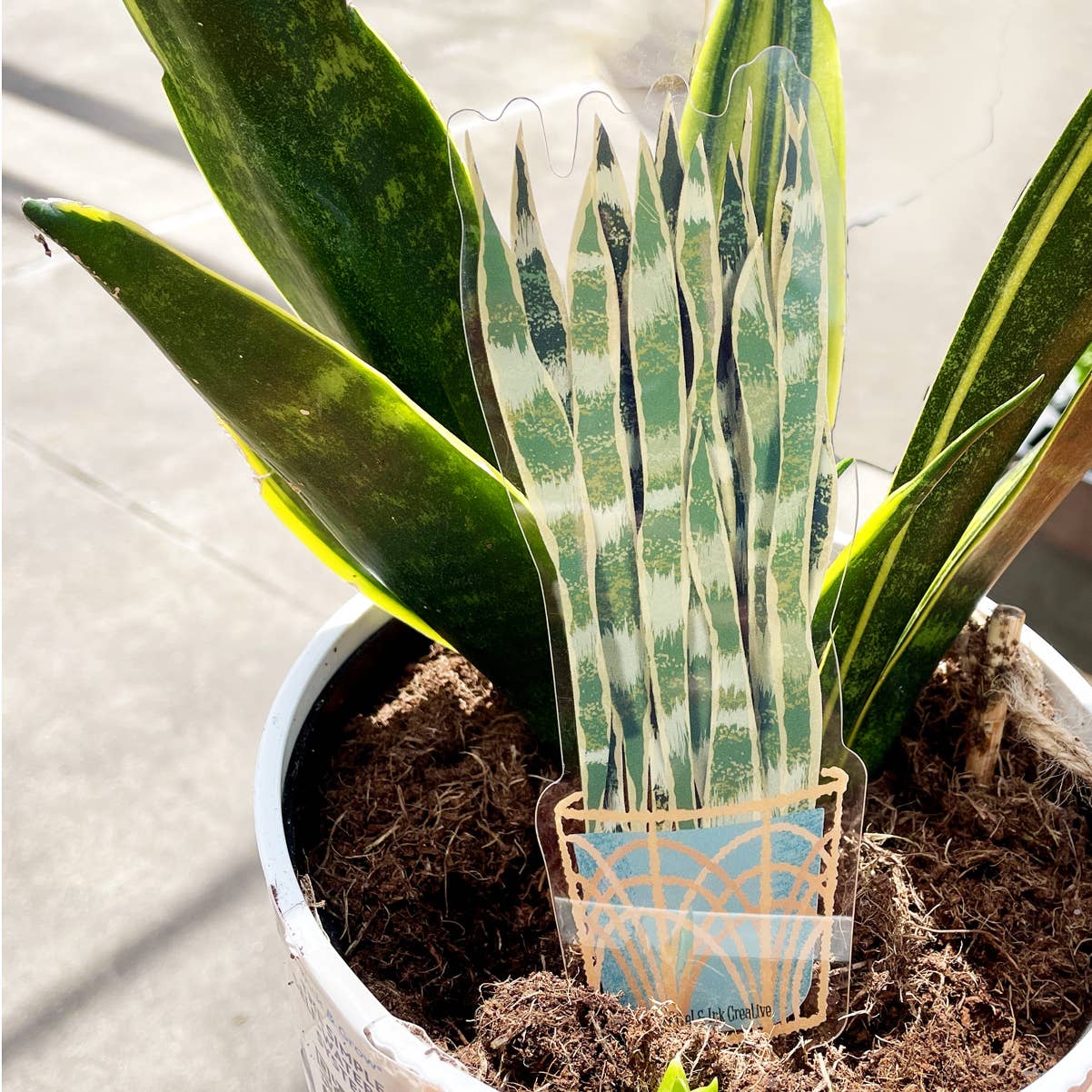 Pixel & Ink Creative - Snake Plant Bookmark – A Leafy Bestseller