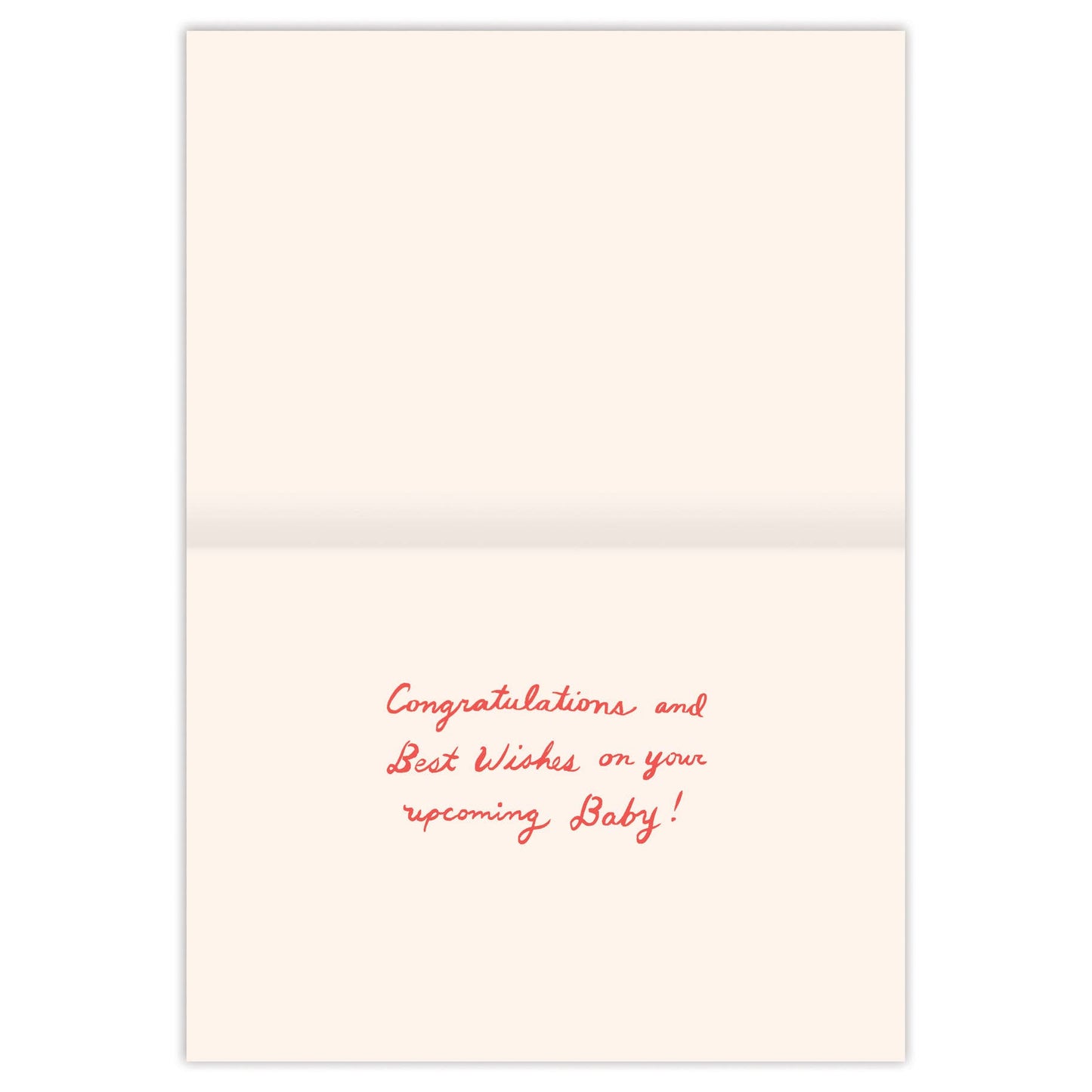 Biely & Shoaf - Stork Special Delivery Baby Shower Card