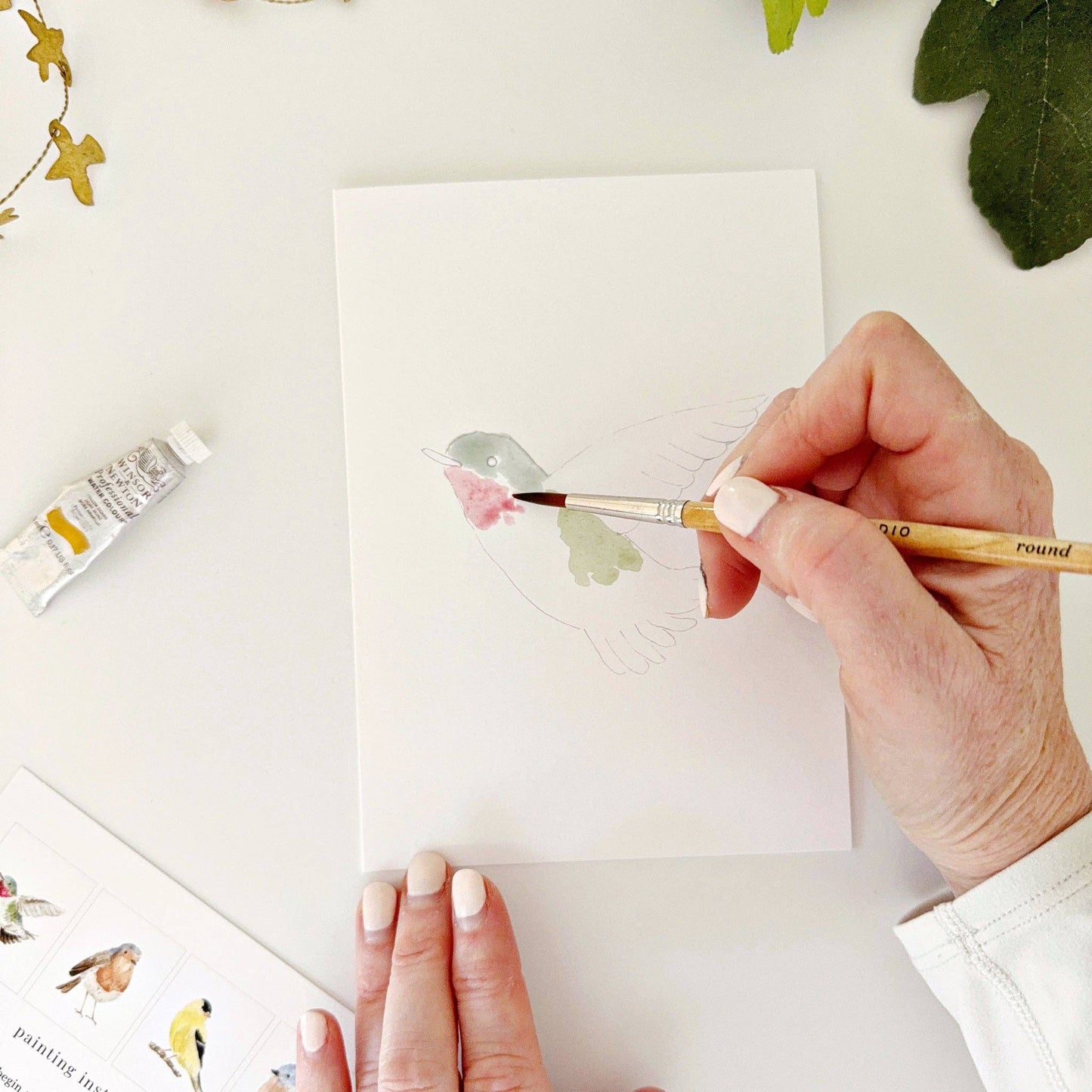 emily lex studio - Backyard birds paintable notecards