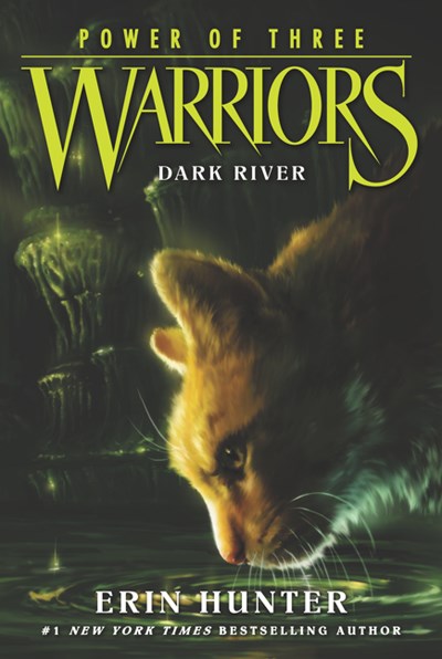 Warriors Power of Three 2 Dark River