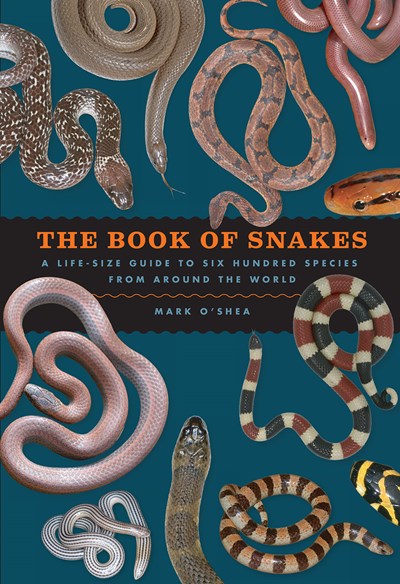 Book of Snakes: A Life-Size Guide to Six Hundred Species from Around the World