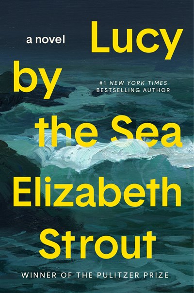 Lucy by the Sea A Novel
