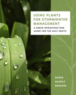 Using Plants For Stormwater Management