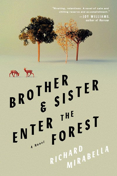 Brother & Sister Enter the Forest A Novel