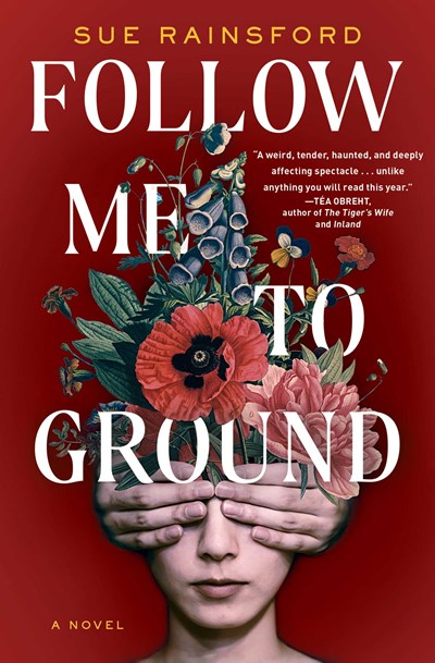 Follow Me to Ground A Novel
