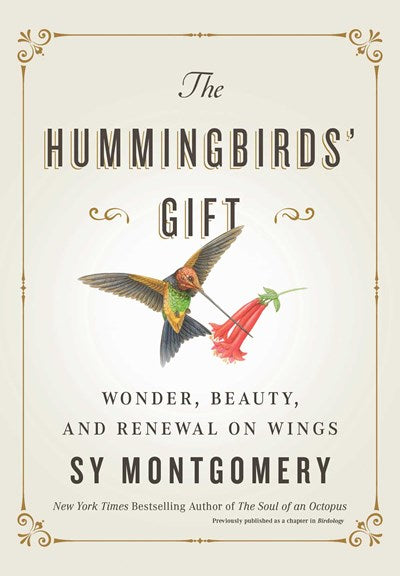 Hummingbirds' Gift: Wonder, Beauty, and Renewal on Wings