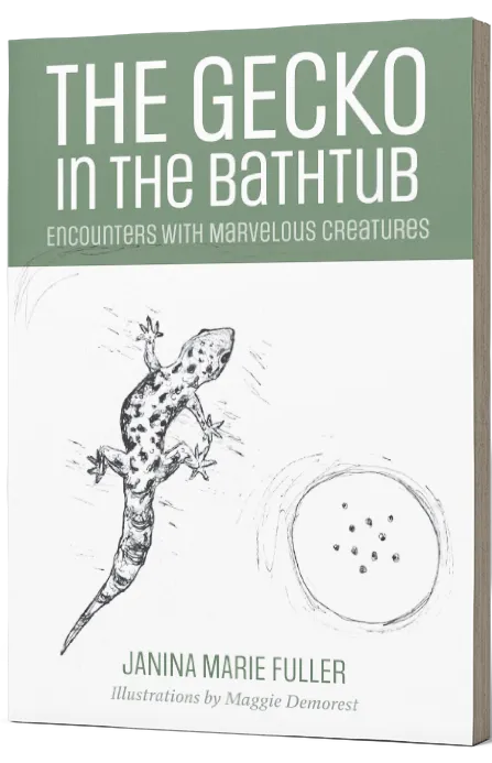 The Gecko in the Bathtub
